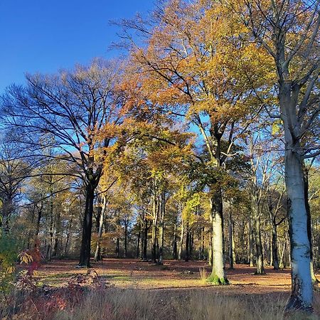 Zen Huisje Villa Turnhout Dış mekan fotoğraf