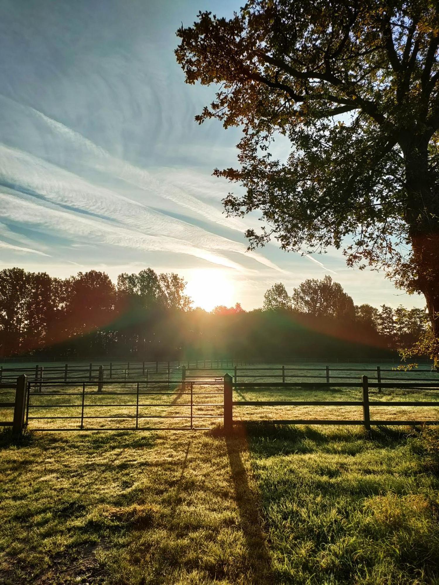 Zen Huisje Villa Turnhout Dış mekan fotoğraf