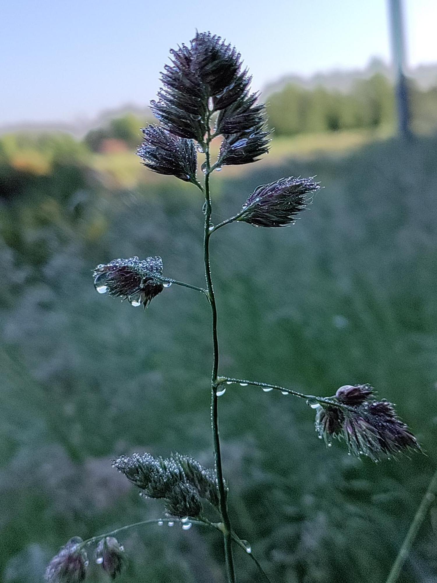 Zen Huisje Villa Turnhout Dış mekan fotoğraf