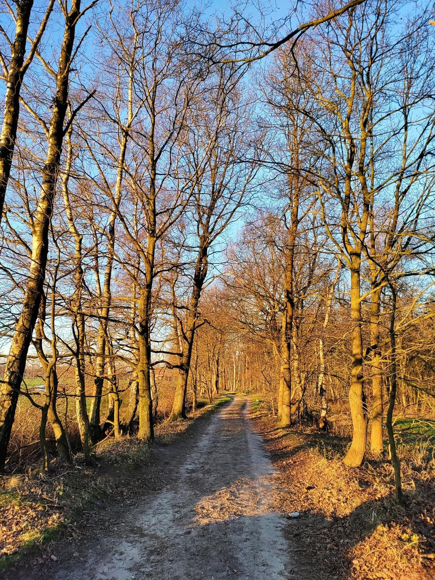 Zen Huisje Villa Turnhout Dış mekan fotoğraf