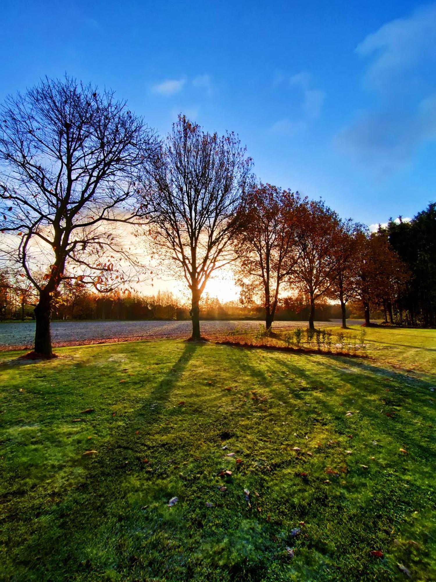 Zen Huisje Villa Turnhout Dış mekan fotoğraf